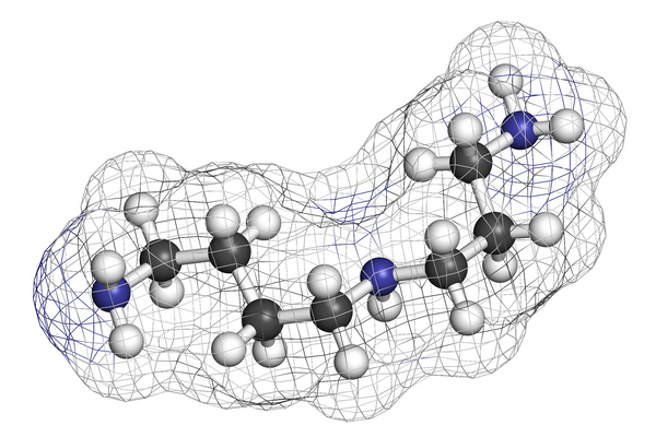 The Role of Polyamines in Health and Disease Conference, July 2025